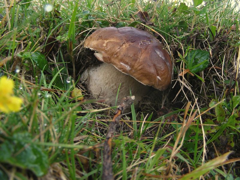 Qualche highlight 2007